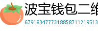 波宝钱包二维码下载